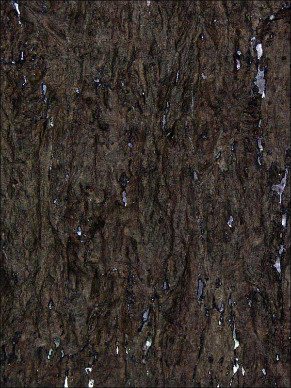 Carbonized Cork Blackwood Wallpaper MC119 by Astek Wallpaper for sale at Wallpapers To Go