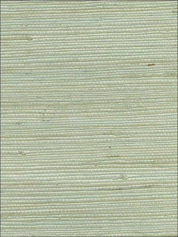 Amur Mint Grasscloth Wallpaper 273265609 by Kenneth James Wallpaper for sale at Wallpapers To Go