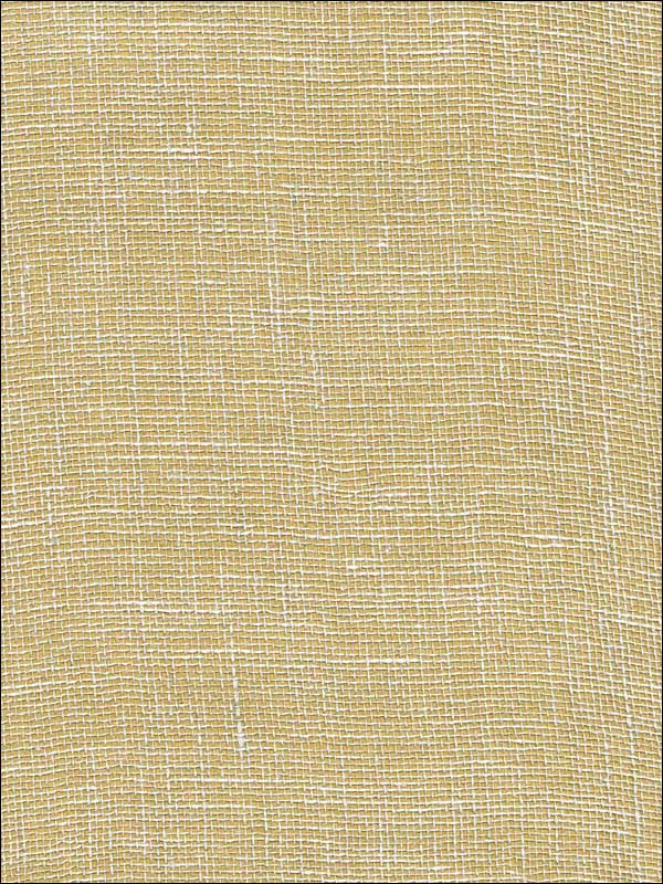 Leyte Gold Grasscloth Wallpaper 273280034 by Kenneth James Wallpaper for sale at Wallpapers To Go