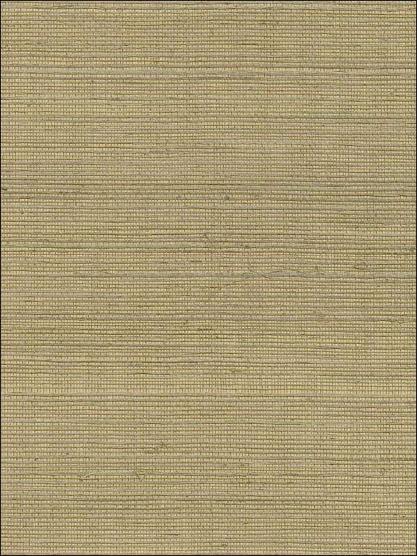 Luoma Light Brown Sisal Grasscloth Wallpaper 273280082 by Kenneth James Wallpaper for sale at Wallpapers To Go
