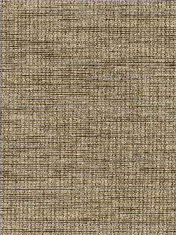 Kansu Brown Sisal Grasscloth Wallpaper 273280086 by Kenneth James Wallpaper for sale at Wallpapers To Go