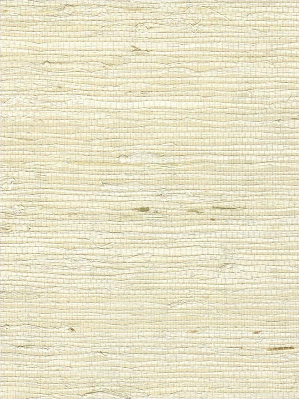 Grasscloth Wallpaper WS316 by Astek Wallpaper for sale at Wallpapers To Go