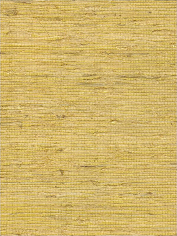 Grasscloth Wallpaper WS318 by Astek Wallpaper for sale at Wallpapers To Go