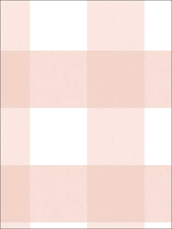 Selah Light Pink Gingham Wallpaper 311512534 by Chesapeake Wallpaper for sale at Wallpapers To Go