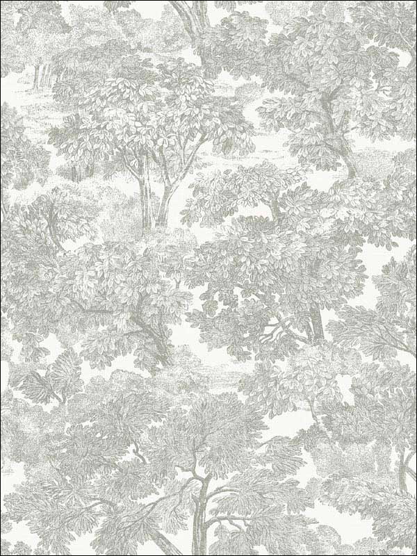 Spinney Grey Toile Wallpaper 311512541 by Chesapeake Wallpaper for sale at Wallpapers To Go