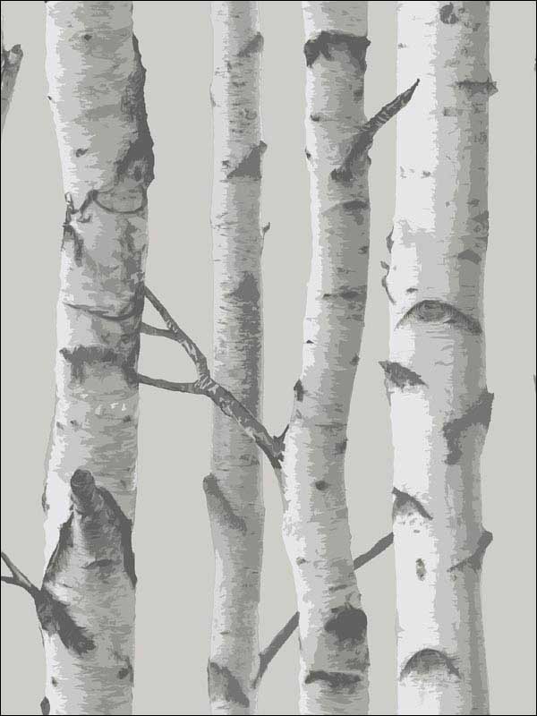 Mountain Birch Grey Peel and Stick Wallpaper  NU1694 by Brewster Wallpaper for sale at Wallpapers To Go