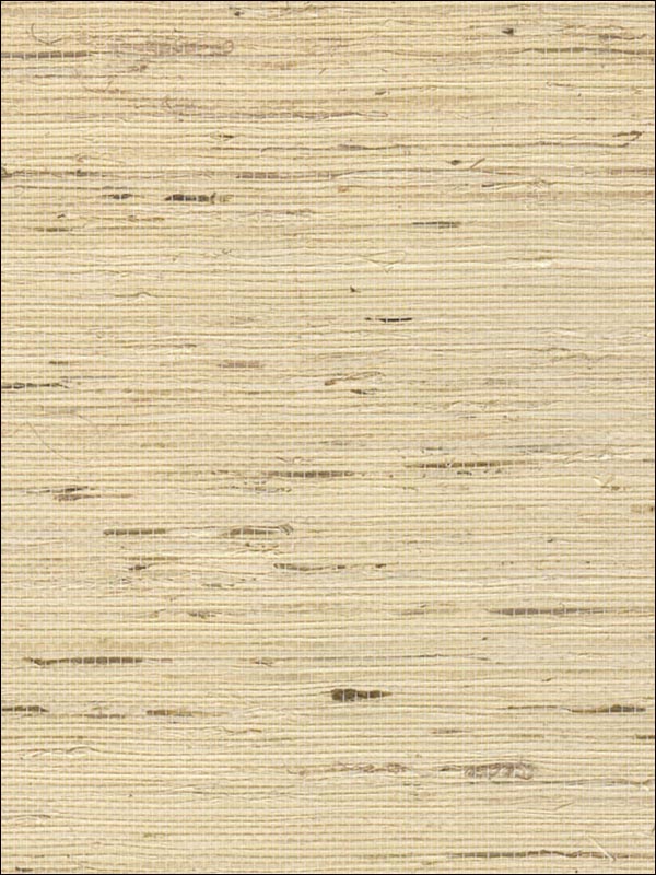 Grasscloth Wallpaper WS321 by Astek Wallpaper for sale at Wallpapers To Go