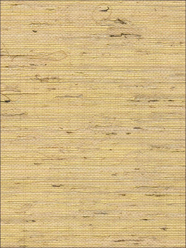 Grasscloth Wallpaper WS322 by Astek Wallpaper for sale at Wallpapers To Go
