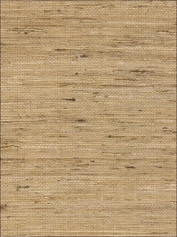 Grasscloth Wallpaper WS323 by Astek Wallpaper for sale at Wallpapers To Go