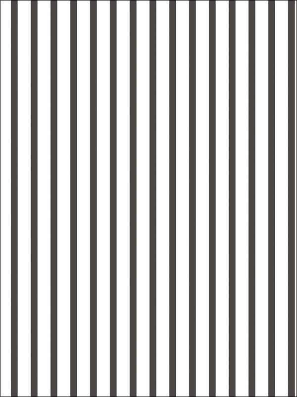 Pin Stripe and Multi Striped Black and White Wallpaper G67533 by Galerie Wallpaper for sale at Wallpapers To Go