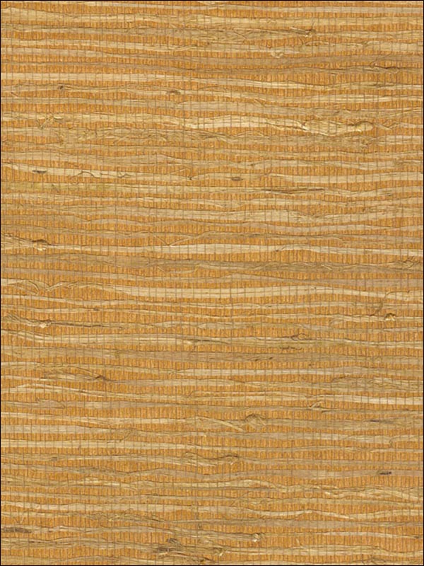 Grasscloth Wallpaper WS325 by Astek Wallpaper for sale at Wallpapers To Go