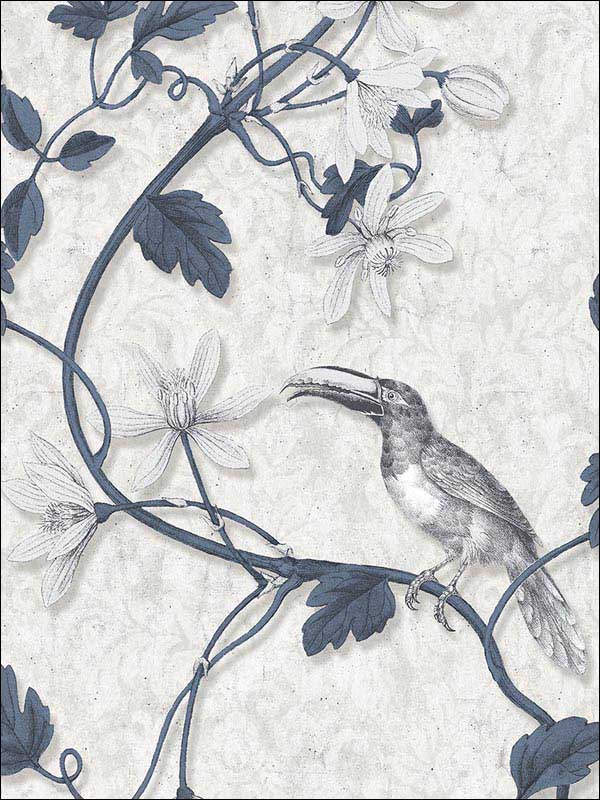 Toucan Toile Navy Grey Wallpaper MH36532 by Patton Norwall Wallpaper for sale at Wallpapers To Go