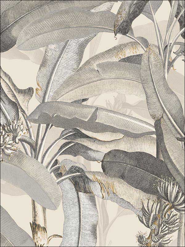 Polynesian Leaves Beige Black Wallpaper MH36538 by Patton Norwall Wallpaper for sale at Wallpapers To Go
