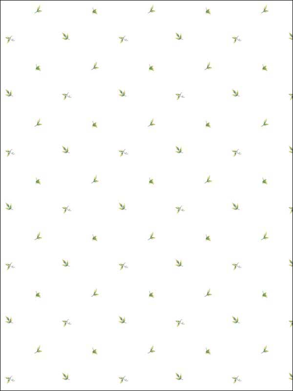 Mini Leaf Green Wallpaper CK36600 by Patton Norwall Wallpaper for sale at Wallpapers To Go