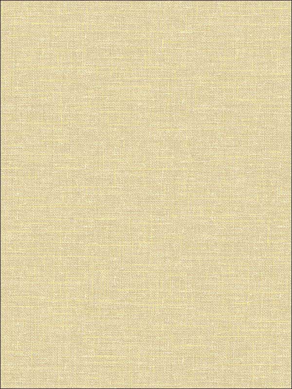 Texture Tan Wallpaper 1620505 by Seabrook Wallpaper for sale at Wallpapers To Go