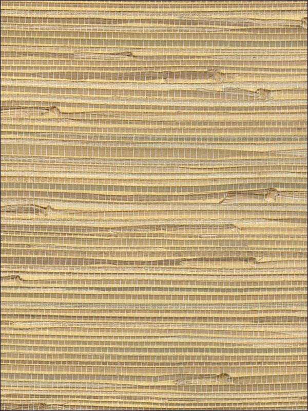 Grasscloth Wallpaper WS332 by Astek Wallpaper for sale at Wallpapers To Go