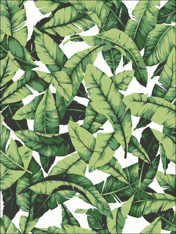 Palm Leaf Peel And Stick Wallpaper RMK11045WP by York Wallpaper for sale at Wallpapers To Go