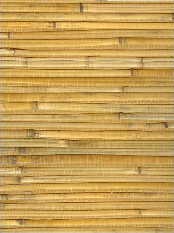 Bamboo Wallpaper WS336 by Astek Wallpaper for sale at Wallpapers To Go
