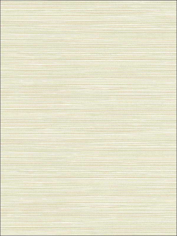 Bondi Cream Grasscloth Texture Wallpaper 2765BW40904 by Kenneth James Wallpaper for sale at Wallpapers To Go