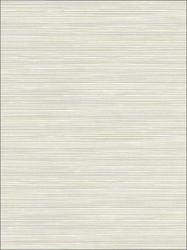 Bondi Light Grey Grasscloth Texture Wallpaper 2765BW40908 by Kenneth James  Wallpaper