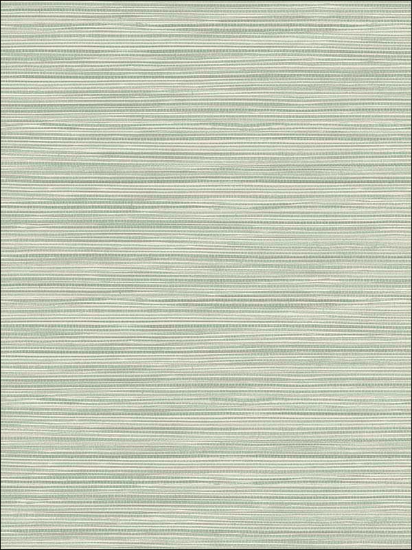 Bondi Seafoam Grasscloth Texture Wallpaper 2765BW40914 by Kenneth James Wallpaper for sale at Wallpapers To Go