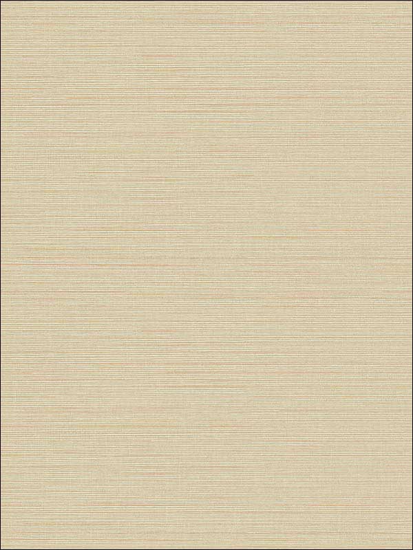 Agena Beige Sisal Wallpaper 2765BW41007 by Kenneth James Wallpaper for sale at Wallpapers To Go