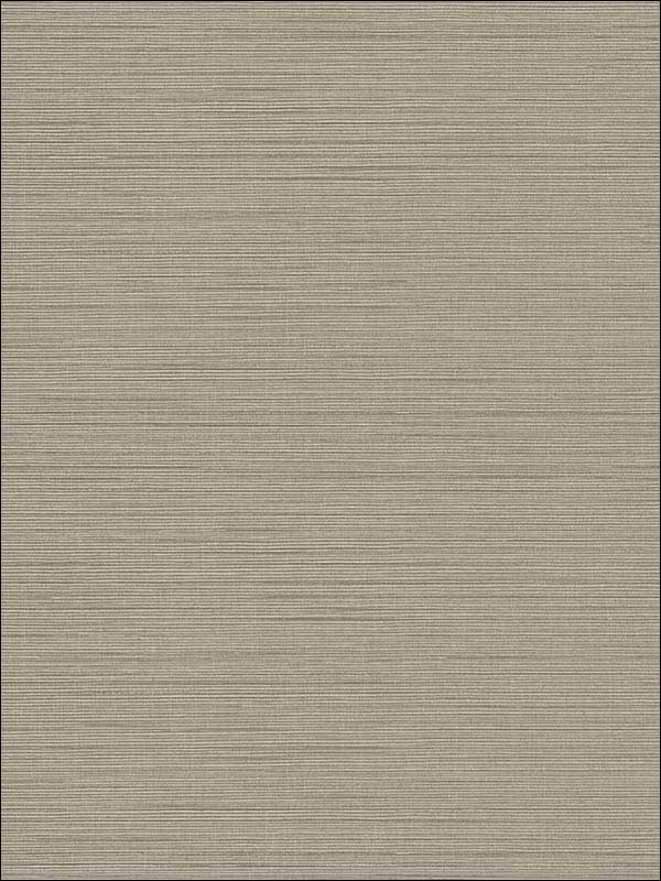 Agena Taupe Sisal Wallpaper 2765BW41009 by Kenneth James Wallpaper for sale at Wallpapers To Go