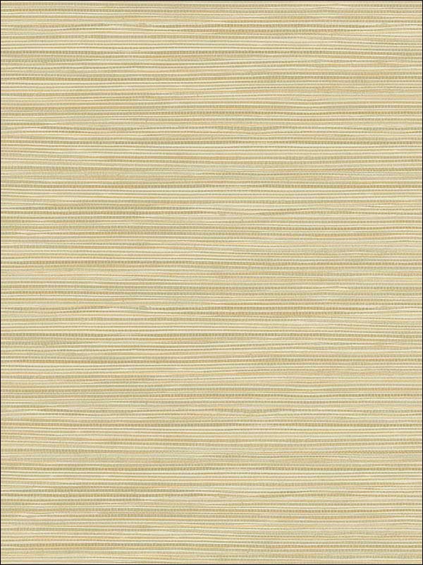 Bondi Wheat Grasscloth Texture Wallpaper 2765BW40915 by Kenneth James Wallpaper for sale at Wallpapers To Go