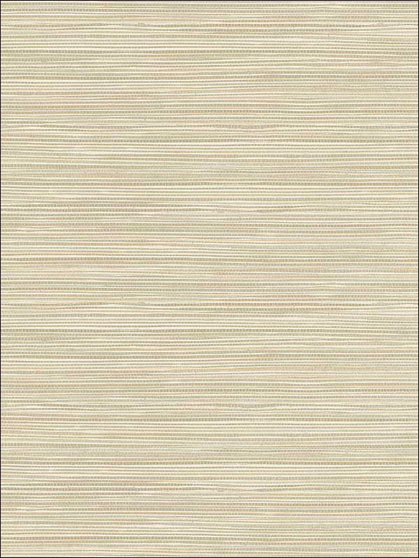 Bondi Neutral Grasscloth Texture Wallpaper 2765BW40916 by Kenneth James Wallpaper for sale at Wallpapers To Go