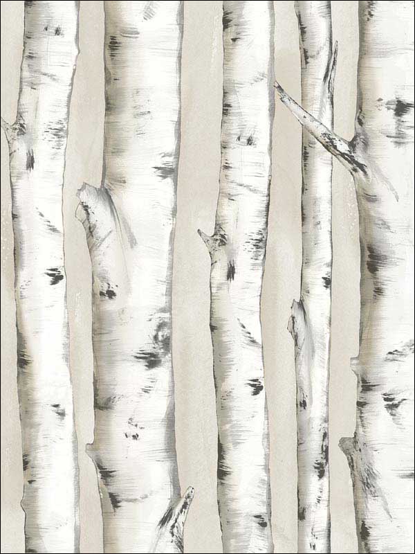 Pioneer Off White Birch Tree Wallpaper 311812601 by Chesapeake Wallpaper for sale at Wallpapers To Go