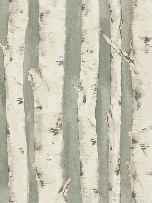 Pioneer Sage Birch Tree Wallpaper 311812603 by Chesapeake Wallpaper for sale at Wallpapers To Go