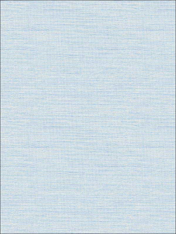 Agave Blue Grasscloth Wallpaper 282124283 by A Street Prints Wallpaper for sale at Wallpapers To Go