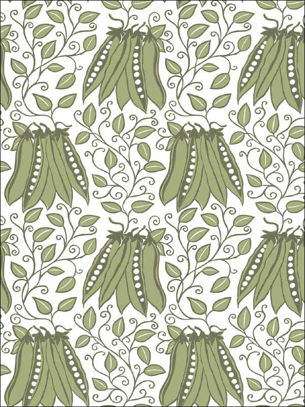 Peas in a Pod Olive Garden Wallpaper 282125120 by A Street Prints Wallpaper for sale at Wallpapers To Go