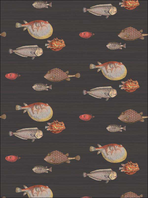 Acquario Black Multi Wallpaper 9710048 by Cole and Son Wallpaper for sale at Wallpapers To Go