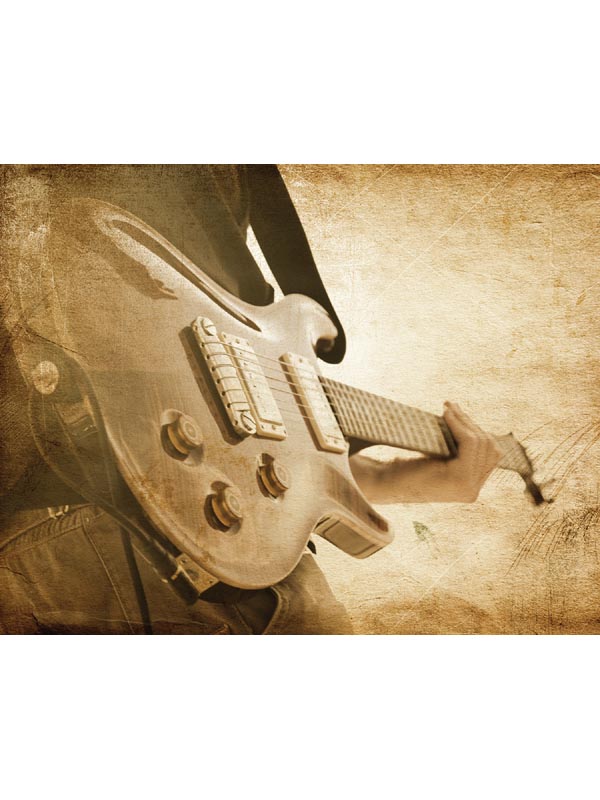 Sepia Guitar 6 Panel Mural G45283 by Galerie Wallpaper for sale at Wallpapers To Go