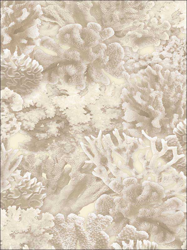 Coral Beige Antique White Cottage White Wallpaper FH37501 by Patton Norwall Wallpaper for sale at Wallpapers To Go
