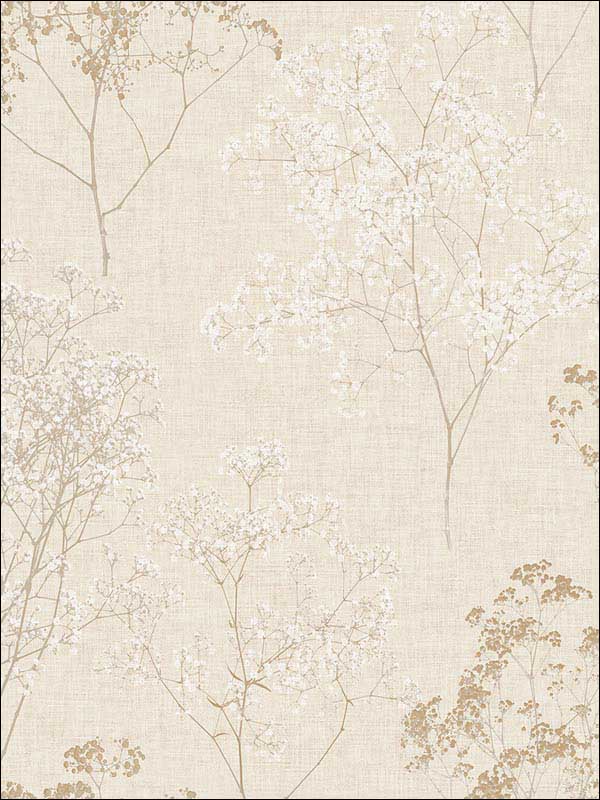 Queen Annes Lace Beige Wheat Wallpaper FH37508 by Patton Norwall Wallpaper for sale at Wallpapers To Go