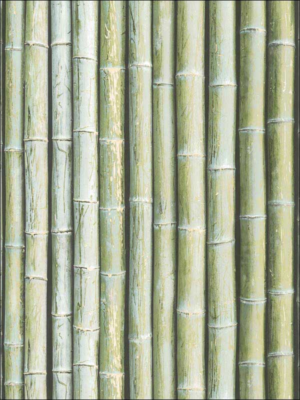Bamboo Green Wallpaper G67941 by Patton Norwall Wallpaper for sale at Wallpapers To Go