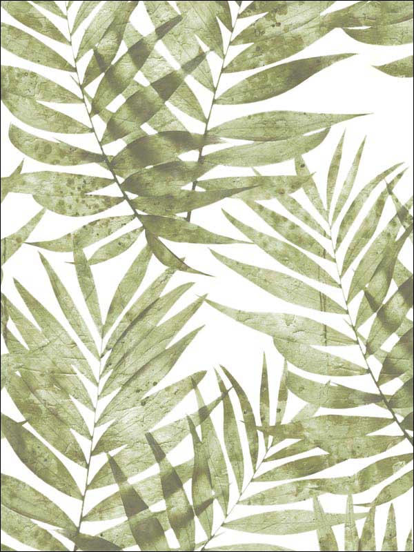 Speckled Palm Green Wallpaper G67944 by Patton Norwall Wallpaper for sale at Wallpapers To Go