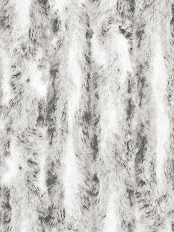 Chinchilla Fur Grey Wallpaper G67948 by Patton Norwall Wallpaper for sale at Wallpapers To Go
