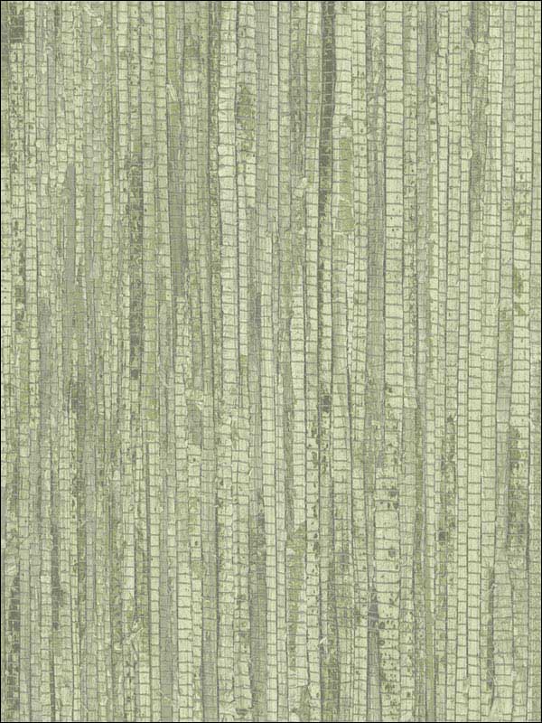 Rough Grass Green Wallpaper G67962 by Patton Norwall Wallpaper