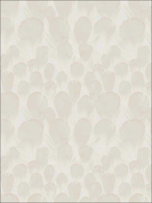 Feathers Cream Wallpaper Y6230102 by Antonina Vella Wallpaper for sale at Wallpapers To Go