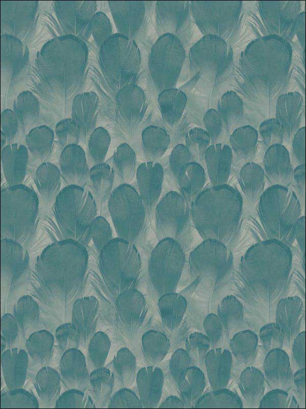Feathers Teal Green Wallpaper Y6230105 by Antonina Vella Wallpaper for sale at Wallpapers To Go