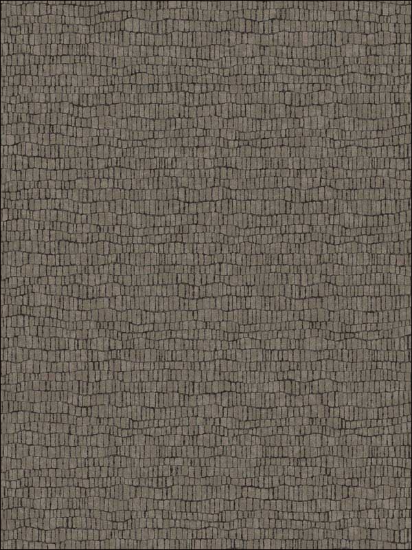 Skin Metallic Black Wallpaper Y6230405 by Antonina Vella Wallpaper for sale at Wallpapers To Go