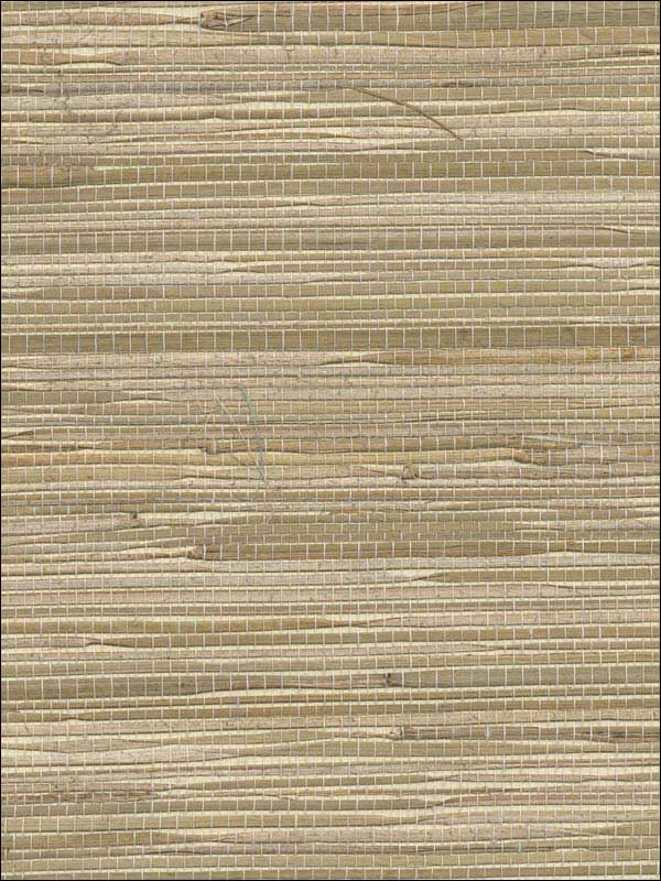 Bataan Wheat Grasscloth Wallpaper 282965621 by A Street Prints Wallpaper for sale at Wallpapers To Go