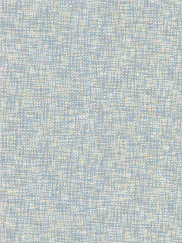 Arlyn Light Blue Grasscloth Wallpaper 282982038 by A Street Prints Wallpaper for sale at Wallpapers To Go