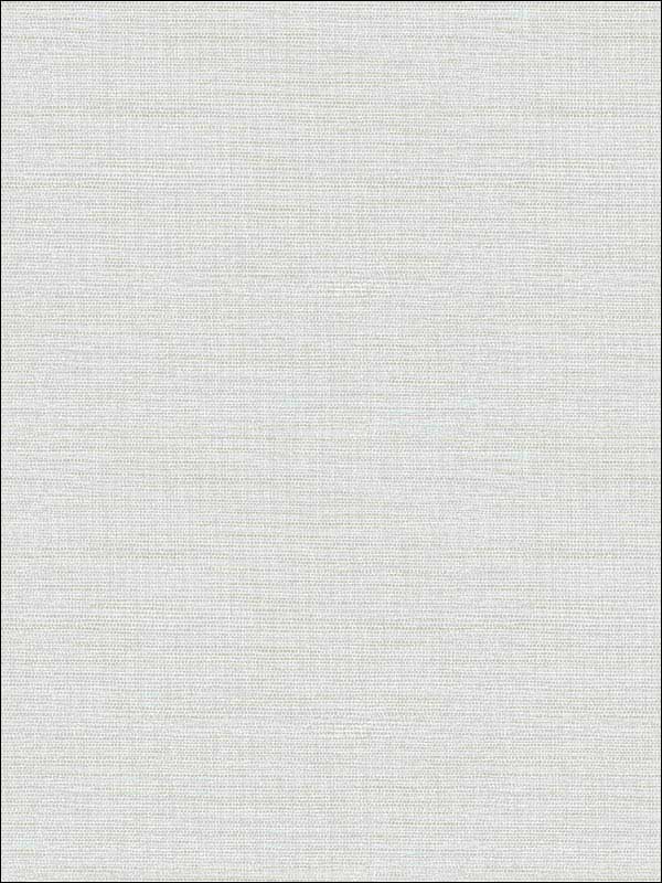 Agave Bliss Light Blue Faux Grasscloth Wallpaper 290124278 by A Street Prints Wallpaper for sale at Wallpapers To Go