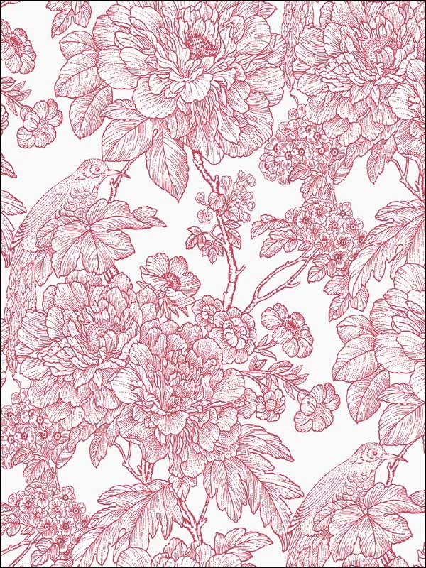 Birds of Paraside Breeze Red Floral Wallpaper 290125410 by A Street Prints Wallpaper for sale at Wallpapers To Go