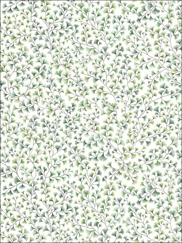 Maidenhair Olive Wallpaper 1156018 by Cole and Son Wallpaper for sale at Wallpapers To Go