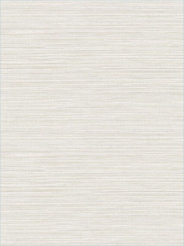 Vinyl Grasscloth Oyster Wallpaper AW74504 by Collins and Company Wallpaper for sale at Wallpapers To Go